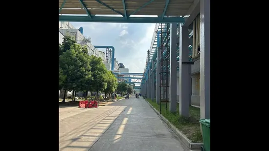 플라스틱/코팅/고무/건축자재/세라믹 안료 화학물질을 위한 아나타제/금홍석 이산화티타늄 안료 TiO2
